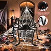 image:imageBOSONER Halloween Decorations Outdoor Spider Webs 1Pcs Giant Spiders  200 Triangular Web with Hook  Stretch Web and Ground Stakes for Large Halloween Decor and Haunted House Decoration  Triangular Web Design Includes Ground Stakes Haunted House Decor Outdoor Use Includes HookBlack